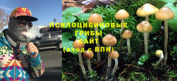 jwh Михайловка