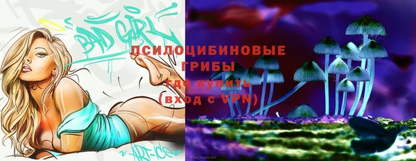 спиды Михайлов
