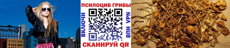 Псилоцибиновые грибы MAGIC MUSHROOMS  Ершов 