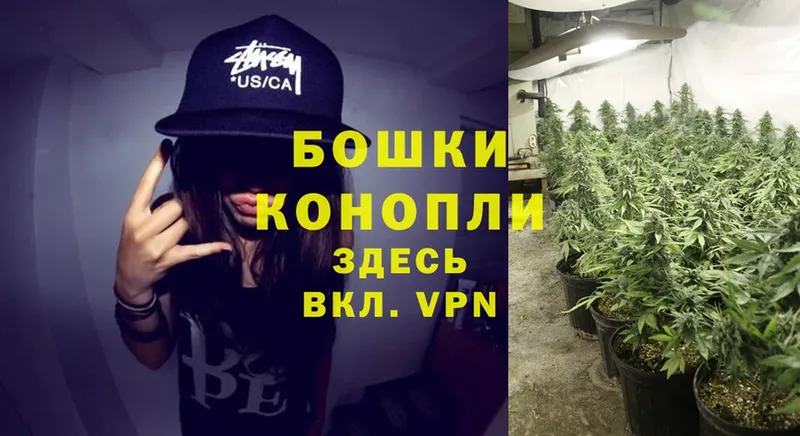 продажа наркотиков  Ершов  MEGA маркетплейс  МАРИХУАНА LSD WEED 